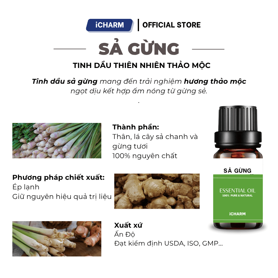 TINH-DAU-THIEN-NHIEN-SA-GUNG