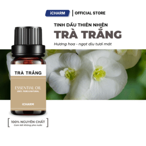 Tinh dầu Trà trắng