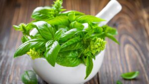 Bí mật đằng sau hương thơm đặc trưng của lá basil