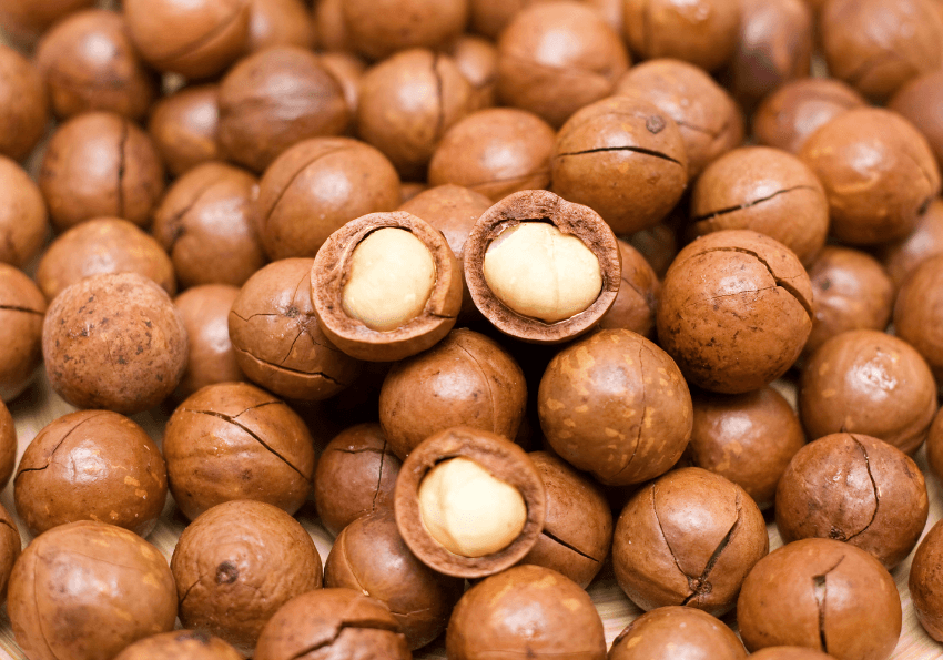 Hạt macadamia