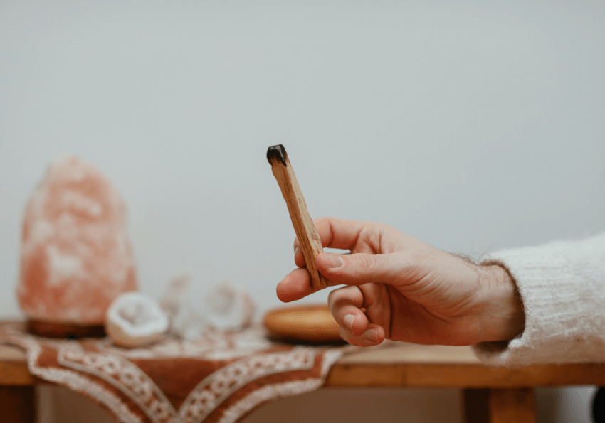 Công dụng tuyệt vời của gỗ Palo Santo