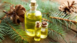 Tinh dầu thông có tốt không? Giải đáp từ A đến Z cho bạn