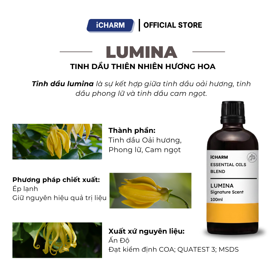 tinh-dau-nguyen-chat-lumina-hn