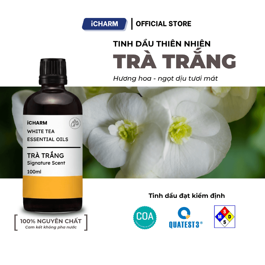 Tinh dầu Trà trắng